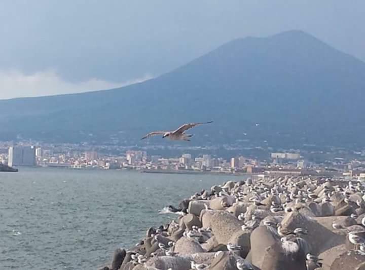 Casa Vacanza Nonna Antonietta Castellammare di Stabia Luaran gambar
